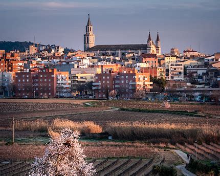 pepco vilafranca del penedes|Pepco en Vilafranca del Penedes 